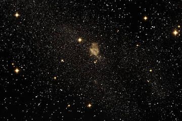 Wall Mural - a starry night background featuring a scattering of stars on a deep black canvas.