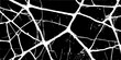 © annetdebar - Intricate web of contrasting lines showcasing the beauty of black and white aesthetics in contemporary art forms