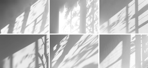 Fototapete - Isolated shadows overlay on transparent background. Black shadow brushes set of trees and leaves through a window. Generative ai