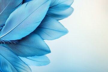 Fototapete - Vibrant blue feathers arranged artistically on a soft background showcasing intricate details and textures