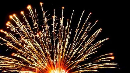 Wall Mural - Firework display bursting with color in a night sky