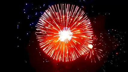 Wall Mural - Fireworks Bursting in Night Sky - Celebration of Festive Occasion