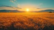 © sandi - Golden wheat field at sunset with mountains in the background, serene landscape