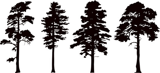 Wall Mural - tree, pine silhouette set vector on a white background