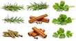 © LittleDuck - Fresh Herbs and Spices Collection - Aromatic rosemary, cilantro, cinnamon sticks, and cardamom pods. Perfect for culinary and wellness imagery