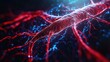 © Zahfran - 3D-rendered human circulatory system, red and blue arteries and veins, dark background for contrast