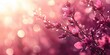 © Roman Corneev - A soft, blurred abstract background featuring delicate pink flowers with droplets, creating a gentle, dreamy atmosphere