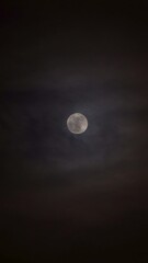 Wall Mural - Full moon in the night sky in vertical video