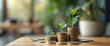 © lina - three growing plants on stacks of coins illustrating financial growth