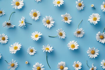 Poster - Chamomile flowers arranged in repetition on a blue background for a vibrant spring and summer feel Generative AI
