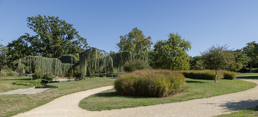 Wall Mural - Graminée dans un parc arboré