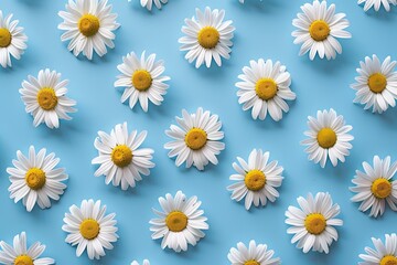 Poster - Chamomile flowers arranged symmetrically on a blue background showcasing a vibrant spring and summer floral pattern Generative AI