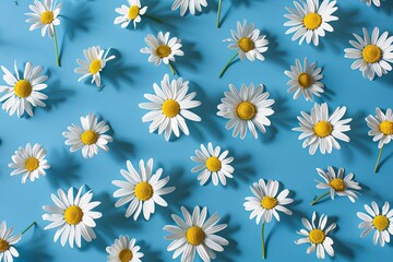 Aufkleber - Chamomile flowers in symmetrical arrangement on blue background for spring and summer decor Generative AI
