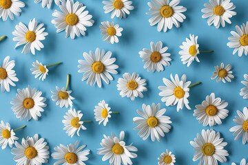 Aufkleber - Chamomile flowers spread across a blue background, creating a pattern of delicate beauty, perfect for spring and summer inspiration Generative AI