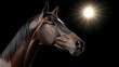© BROPRADANA - Dark horse portrait, radiant light