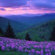 © Muhammad - Purple Sunset for Mountain Meadow Bloom.