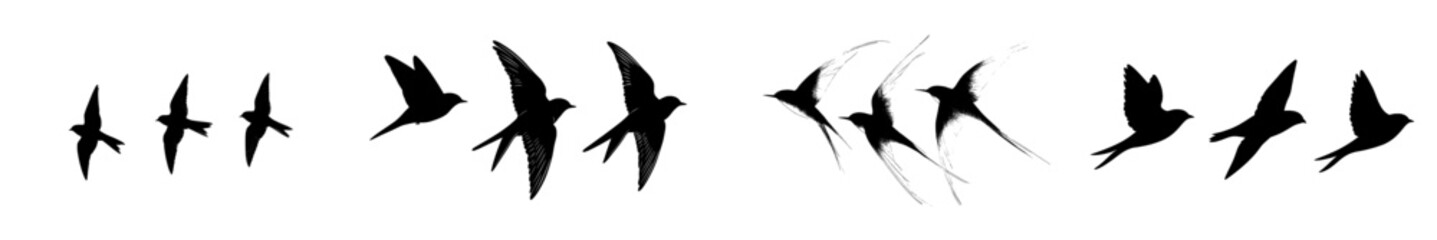Fototapete - A flock of swallows is depicted as silhouettes of flying birds filling the sky and flying over the sea with a free black bird in swift flight amidst a swarm of swallows above the cloud skyline in a