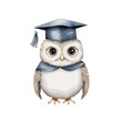 © pattozher - Wise Owl's Graduation: A charming illustration showcases a wise owl, dressed in a graduation cap and gown, symbolizing knowledge, education, and academic achievement.