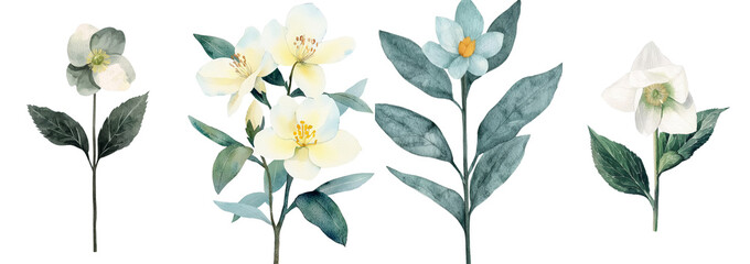 Aufkleber - A hand-drawn, watercolor illustration of a winter bouquet, featuring beautiful hellebore flowers, is elegantly set against a clean and isolated white background, showcasing the artist's skill