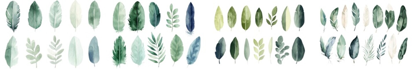 Poster - Clipart featuring feathers in watercolor, isolated on white with a festive and decorative design