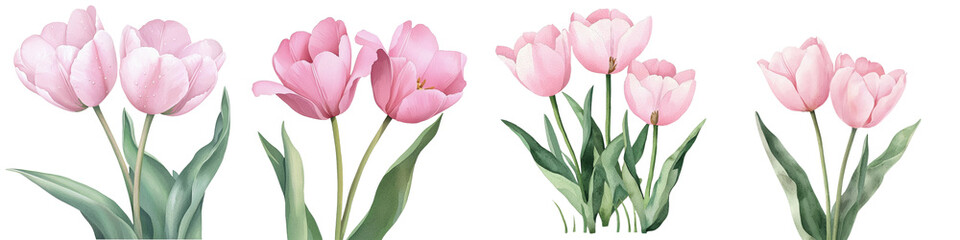 Aufkleber - On a spring card, a hand drawing of watercolor flowers forms a bouquet of beautiful tulips, standing out against an isolated background