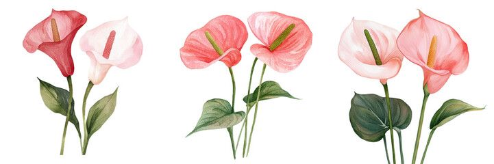 Aufkleber - A bouquet of flowers, specifically anthuriums, is showcased in a watercolor hand drawing on a white isolated background