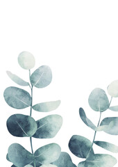 Leinwandbilder - Greeting cards, invitations, and postcards feature a watercolor illustration of eucalyptus on an isolated white background