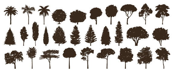 Silhouettes of various tree types, including palm, pine, and deciduous trees. Tree silhouettes in different shapes and sizes, showcasing diverse tree forms. Silhouette forest elements, vector set.