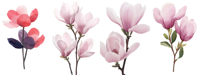 Poster - A set of botanical flowers with magnolia flowers includes a greeting card featuring an isolated watercolor magnolia flower