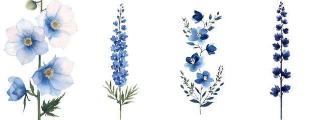 Poster - A watercolor hand drawing illustrates a blue flower, classified as delphinium, in a botanical representation of flora, positioned on an isolated white background for emphasis