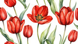 red tulips illustration watercolor