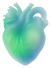 Wall Mural - png abstract blurred gradient illustration human heart green blue creativity.