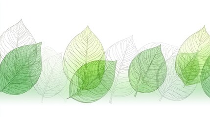 Wall Mural - Green leaves border design on white, elegant translucent pattern for botanical theme decor, ads