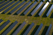 © Miha Creative - Solar panels park generating green energy electric.Green energy reduce carbon emissions and makes earth cleaner and more ecological.