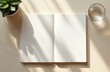 © Viktor - Minimalistic flat lay with open book mockup, glass water, succulent plant in beige interior. White pages, blank cover. Top view, natural light, shadow, copy space.
