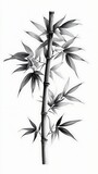 Elegant Monochrome Bamboo Illustration, Tranquil Asian Art