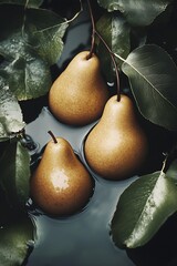 Poster - Three ripe pears floating gracefully among lush green leaves in a tranquil water environment : Generative AI