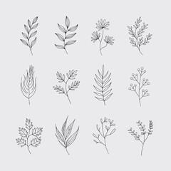 Wall Mural - botanical line art featuring a variety of delicate leaves, stems and floral elements. a perfect coll