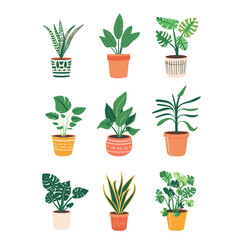Wall Mural - collection of diverse potted houseplants displayed against a clean white background. each plant vari