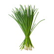 © Jaroon - A bunch of green onions are piled up on a white background. The onions are tightly packed together, and they are all the same size. Concept of freshness and abundance, as the onions are a healthy