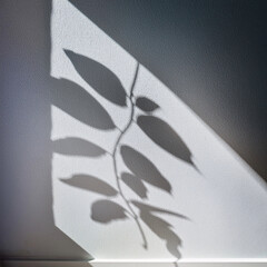 Wall Mural - soft plant shadows on white wall generated image