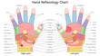 © Oleksandr Pokusai - hand reflexology chart illustrating pressure points linked to different organs, including the heart, lungs, liver, stomach, spine, and nervous system diagram hand drawn vector illustration.