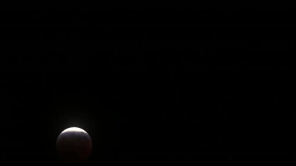 Wall Mural - timelapse of the total lunar eclipse on march 14th, 2025 as the moon gets covered in earth's shadow