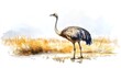 © Sumera - Safari ostrich watercolor illustration safari animals clipart