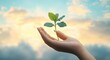 © zong - Hand Holding Delicate Sprout Against Soft Cloudy Sky with Clean Background for Growth and Tranquility