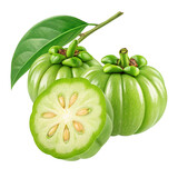 fresh garcinia cambogia fruits with green leaf and cross section showing seeds isolated on white