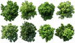 © aura studio - Aerial view canopy trees parks 3d render isolated on transparent png, forest, nature landscape, green foliage, outdoor scenery, top view, natural environment, park landscape