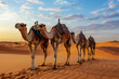 © Nature_Beauty - Camel Caravan Walking Across the Desert Dunes at Sunset