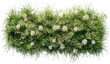 © aura studio - Flowery grassy meadow vector top view group on transparent backgrounds png, spring wildflowers, lush green grass, floral nature, blooming plants, seamless botanical background, outdoor scenery