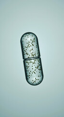 Wall Mural - a translucent capsule filled with small bubbles floats against a soft blue background, showcasing a 